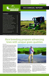 2023 Annual Report by Louisiana Rice Research Board and LSU AgCenter