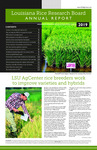 2019 Annual Report by Louisiana Rice Research Board and LSU AgCenter