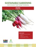 Sustainable Gardening for School and Home Gardens: Radish