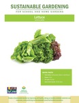Sustainable Gardening for School and Home Gardens: Lettuce by Johannah Frelier, Denyse Cummins, and Carl Motsenbocker