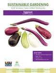 Sustainable Gardening for School and Home Gardens: Eggplant