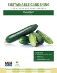 Sustainable Gardening for School and Home Gardens: Cucumber by Johannah Frelier, Denyse Cummins, and Carl Motsenbocker