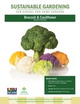 Sustainable Gardening for School and Home Gardens: Broccoli and Cauliflower by Johannah Frelier, Denyse Cummins, and Carl Motsenbocker