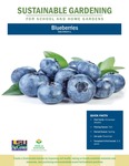 Sustainable Gardening for School and Home Gardens: Blueberries