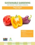 Sustainable Gardening for School and Home Gardens: Sweet Pepper by Johannah Frelier, Denyse Cummins, and Carl Motsenbocker