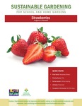 Sustainable Gardening for School and Home Gardens: Strawberries