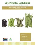 Sustainable Gardening for School and Home Gardens: Snap Beans, Bush and Pole