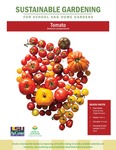 Sustainable Gardening for School and Home Gardens: Tomato